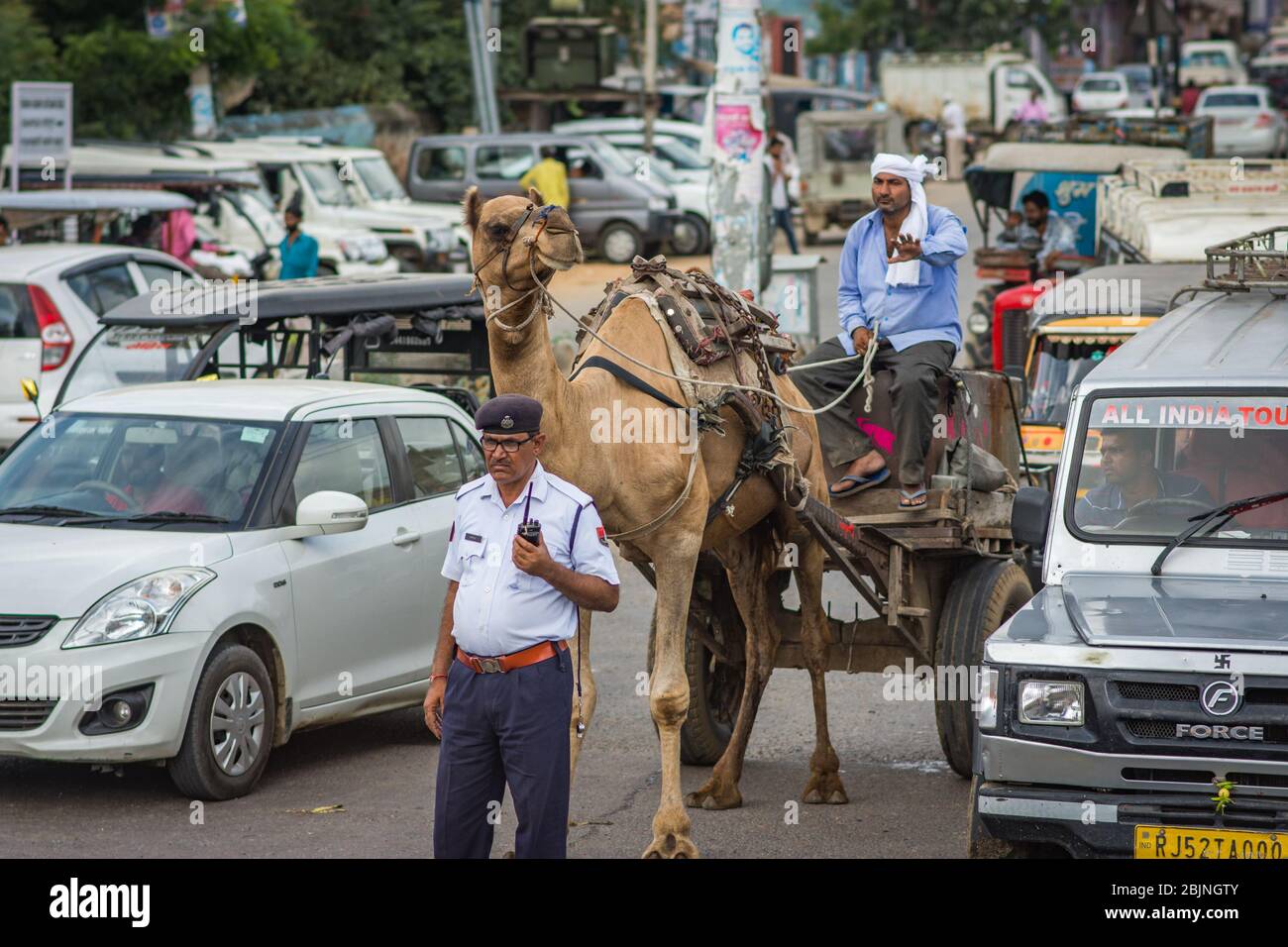 Jaipur, Rajasthan / Indien - 28. September 2019: Verkehrspolizisten, die den Verkehr mit Autos und einem Kamel Zug Wagen, Jaipur, Rajasthan, Indien Stockfoto