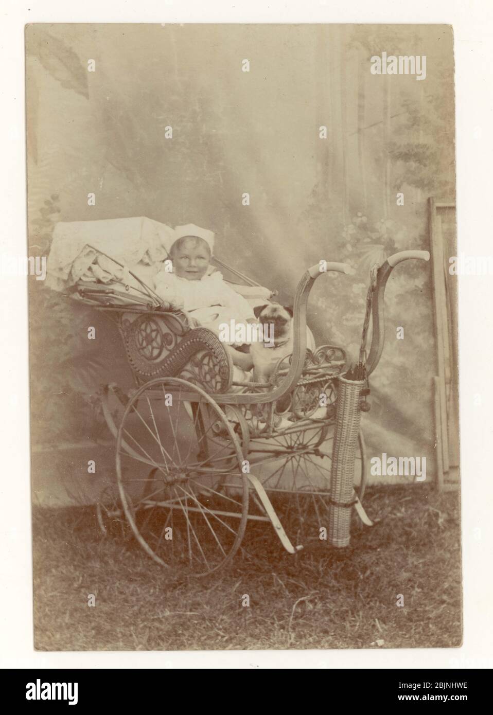 Anfang des 19. Jahrhunderts Edwardian Seaside Portrait des Babys in einem aufwendigen Kinderwagen, mit Mops Hund, Tuch Hintergrund, um 1905, Eastbourne, Sussex, England Großbritannien Stockfoto