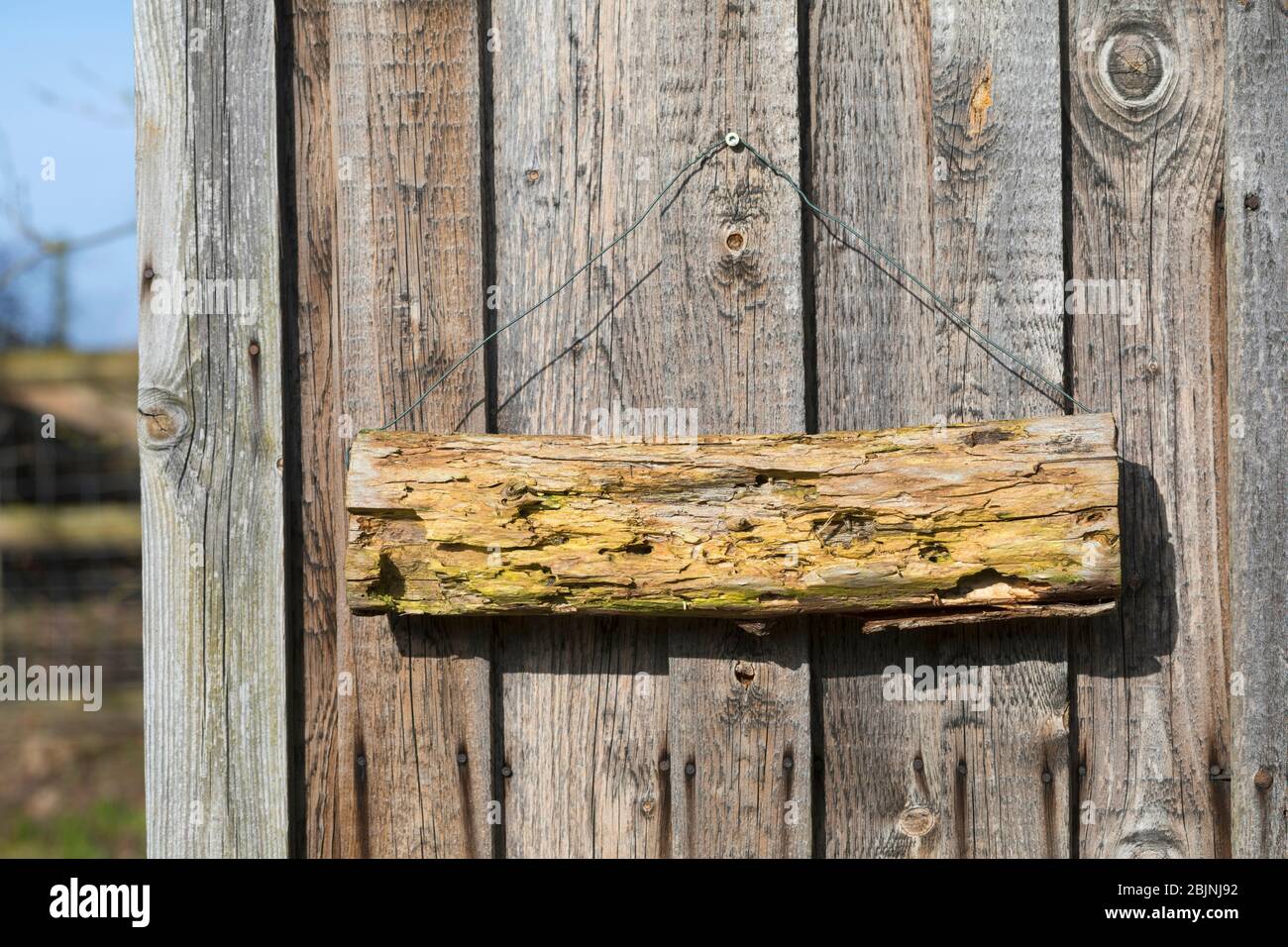 Nisthilfe für Wildbienen, sprödes Stück Holz auf einer sonnigen Holzwand Stockfoto