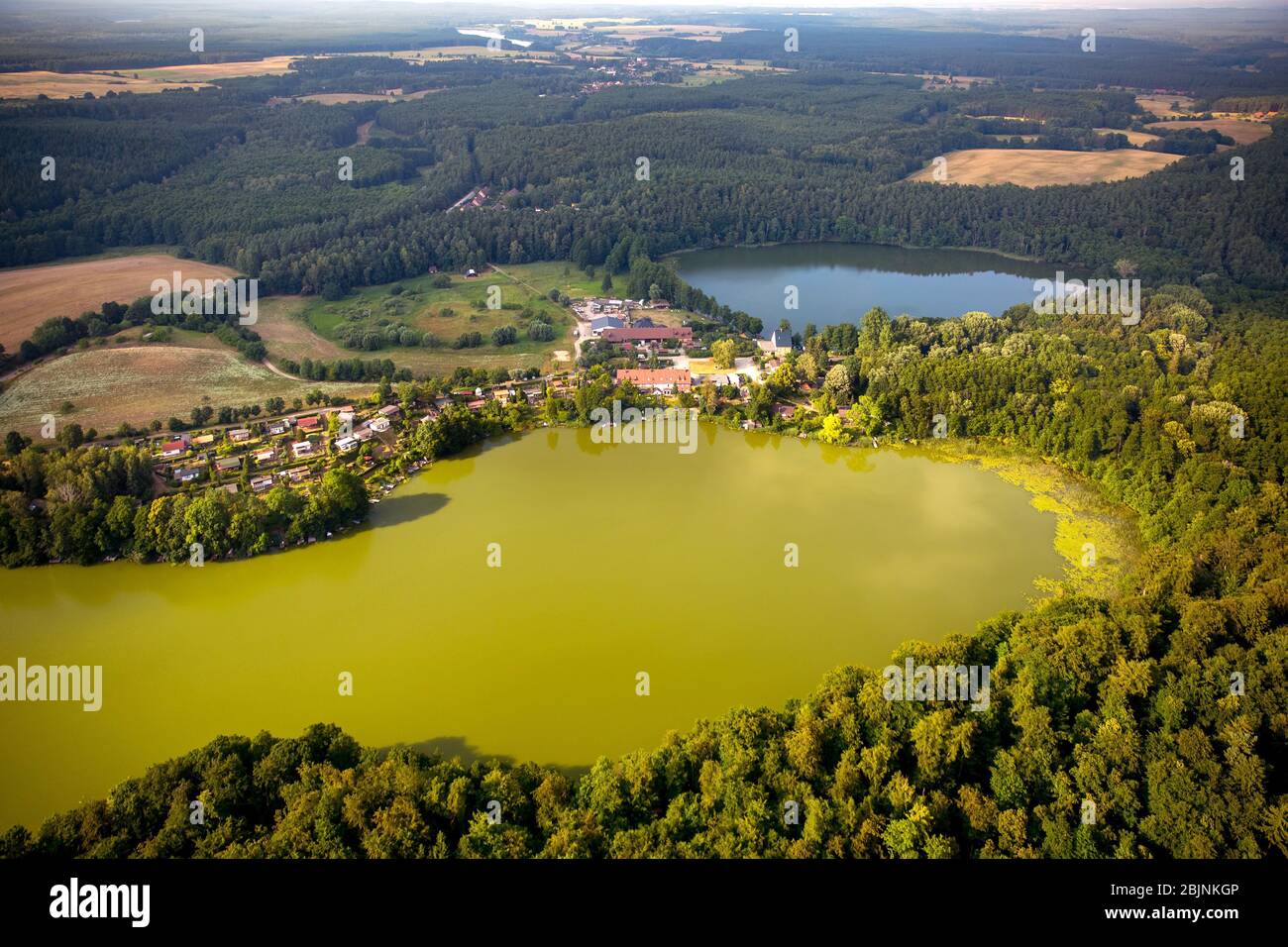 , Grosser Gadowsee und kleiner Gadowsee in Wokuhl-Dabelow, 27.07.2016, Luftaufnahme, Deutschland, Mecklenburg-Vorpommern, Mecklenburger Seenlandschaft, Wokuhl-Dabelow Stockfoto