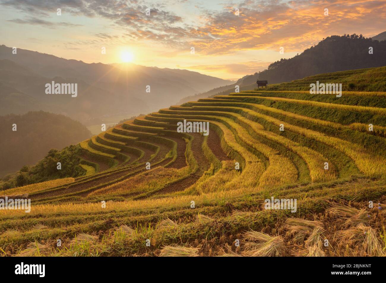 Terrassierte Reisfelder bei Sonnenuntergang, Mu Cang Chai, Vietnam Stockfoto