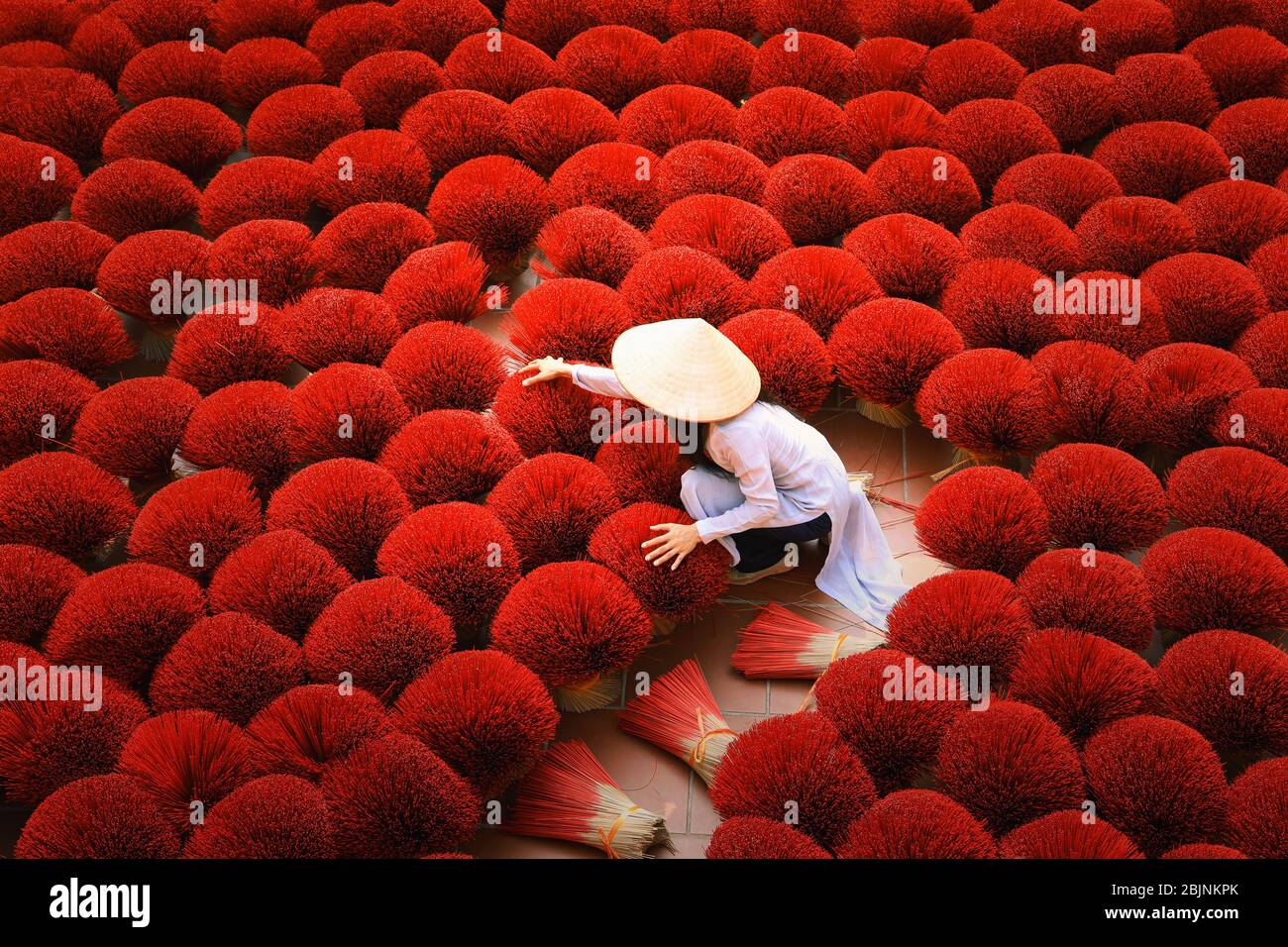 Frau sammelt getrocknete Räucherstäbchen, Hanoi, Vietnam Stockfoto