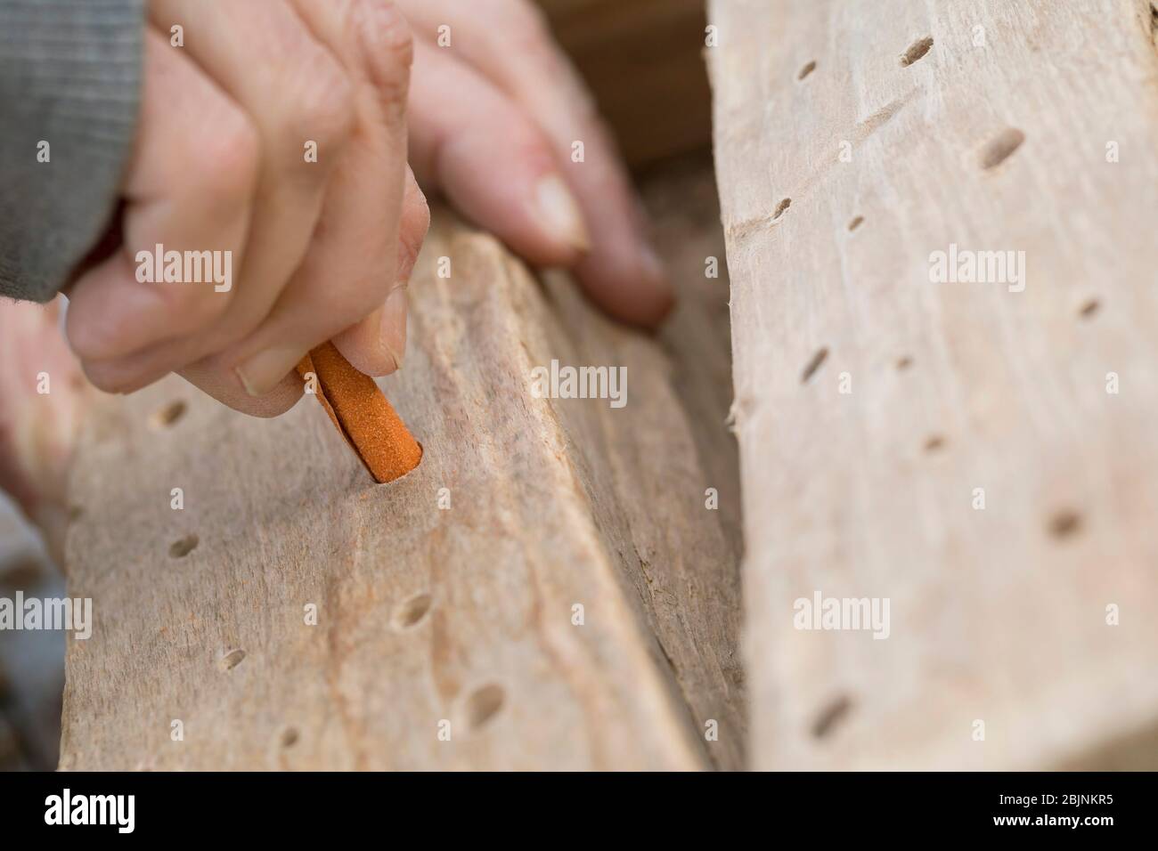 Nisthilfe für Wildbienen, Löcher im Hartholz mit Schmirgelpapier glätten Stockfoto