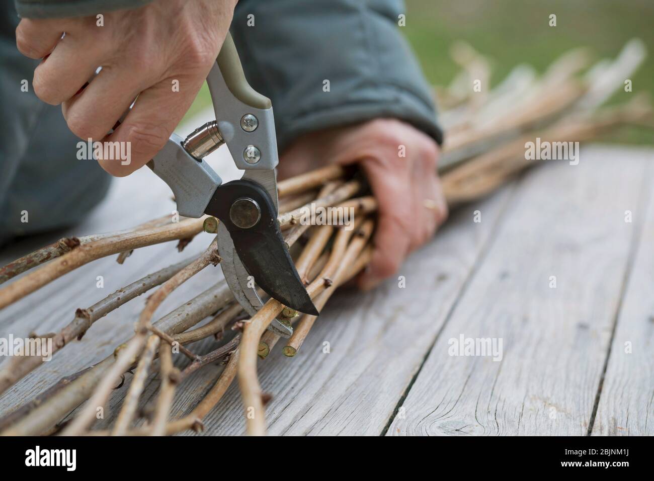 Nisthilfe für Wildbienen, Schritt zwei, Schneiden von Schafstängeln in 1 m Stücke Stockfoto