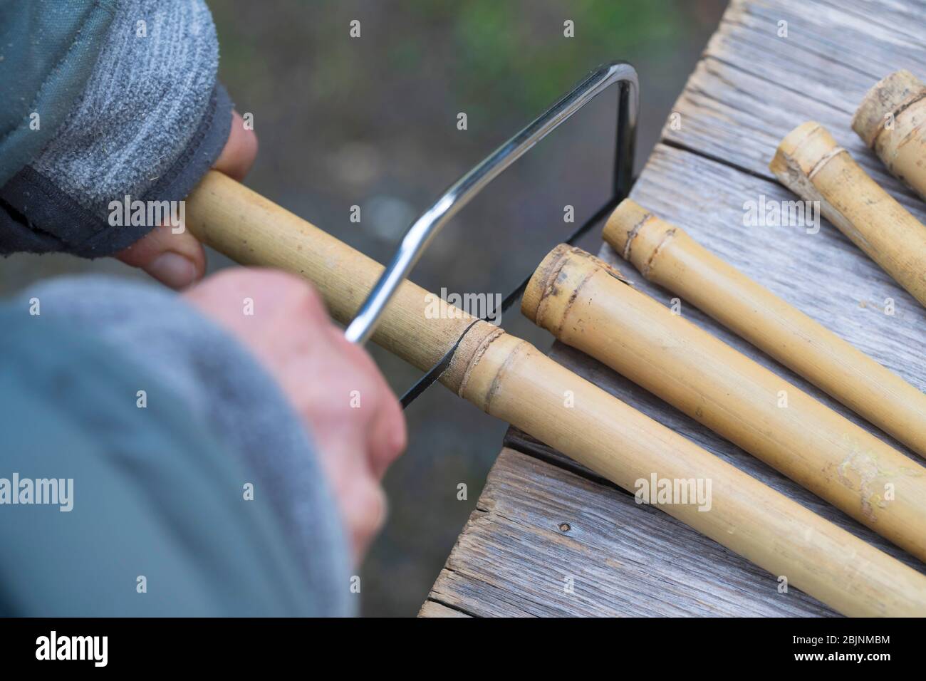 Nisthilfe fr Wildbienen, Schritt eins: Sgen von Bambus in 20 cm langen  Stcken Stockfotografie - Alamy
