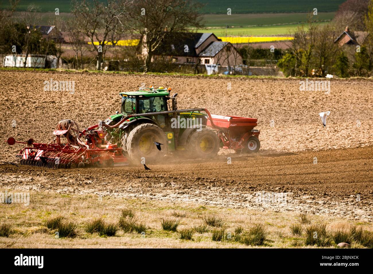 Frühjahrsbepflanzung . Schottland. Landwirtschaftliche Geräte. Stockfoto