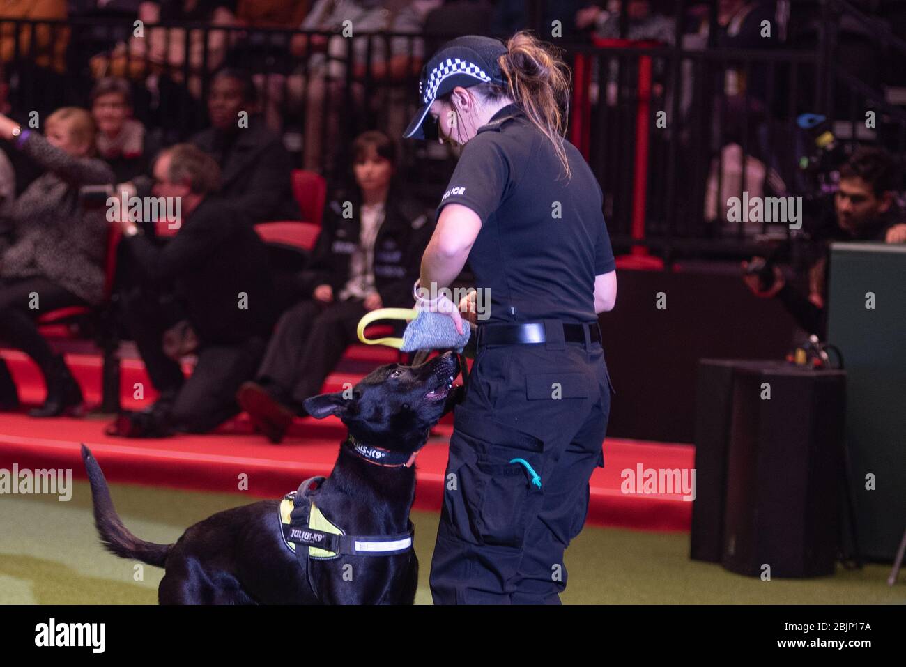 West Midlands Police Dogs zeigen ihre Fähigkeiten in der Resorts World Arena am 5. März 2020 Stockfoto