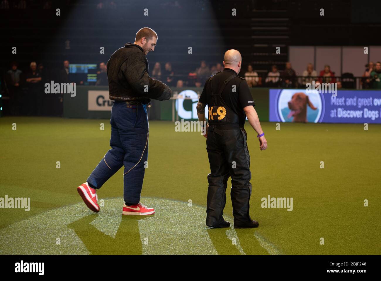 CRUFTS: LadBaby schließt sich der West Midlands Police Dogs Ausstellung am 5. März 2020 Stockfoto