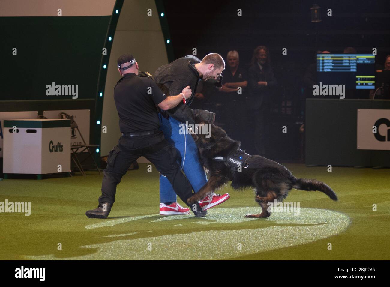 CRUFTS: LadBaby schließt sich der West Midlands Police Dogs Ausstellung am 5. März 2020 Stockfoto