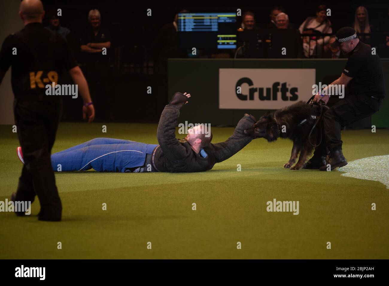 CRUFTS: LadBaby schließt sich der West Midlands Police Dogs Ausstellung am 5. März 2020 Stockfoto