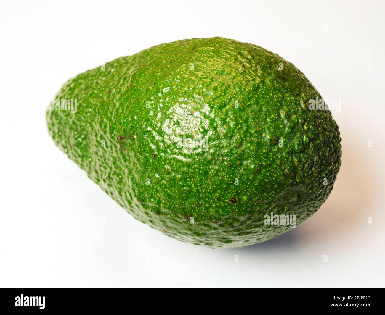 Eine einzelne Avocado-Frucht auf weißem Hintergrund Stockfoto