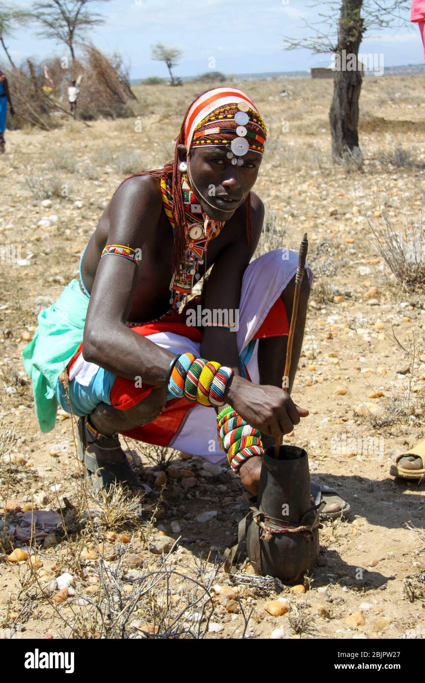 Maasai Männer bluten eine Kuh, um die Blutmilch zu produzieren, die sie trinken. Maasai ist eine ethnische Gruppe von halbnomadischen Menschen, die in Kenia fotografiert wurden Stockfoto