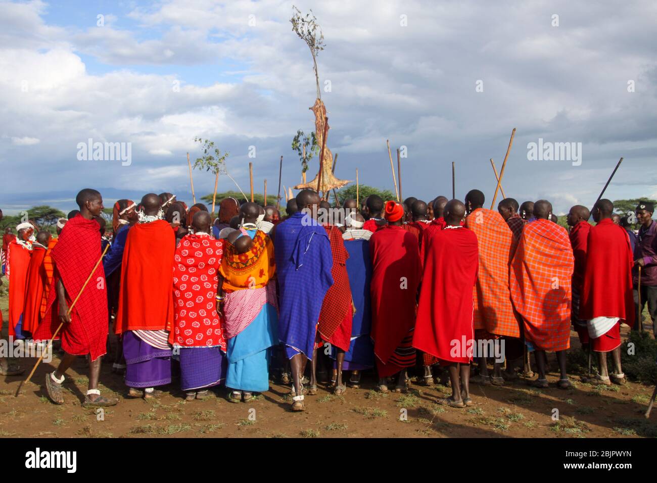 Stammestanz bei einer Maasai-Zeremonie Maasai ist eine ethnische Gruppe von halbnomadischen Menschen, die in Tansania fotografiert wurden Stockfoto