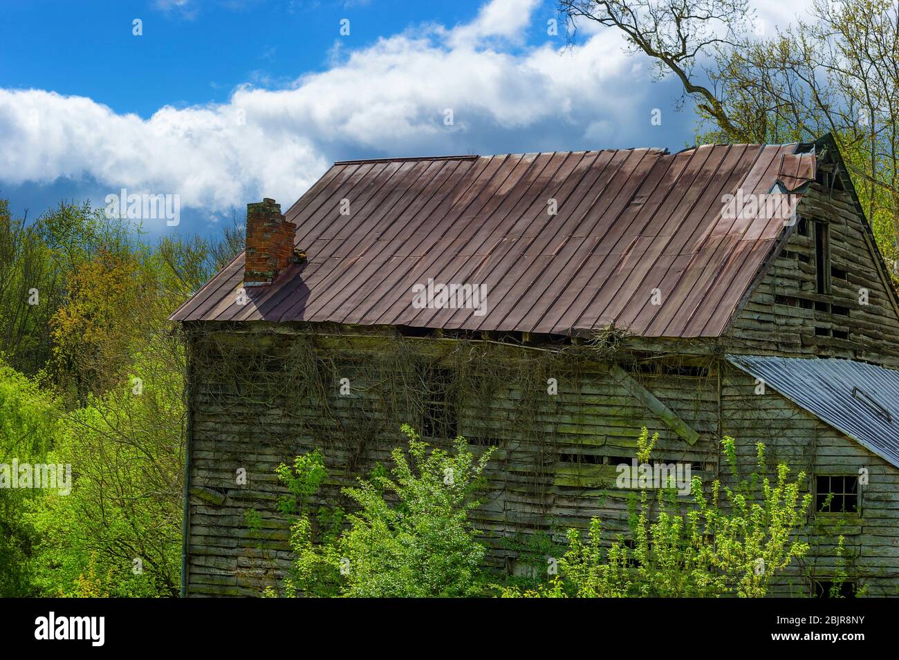 Altes Holzgebäude, das im ländlichen Tennessee in die Natur zurückfällt Stockfoto