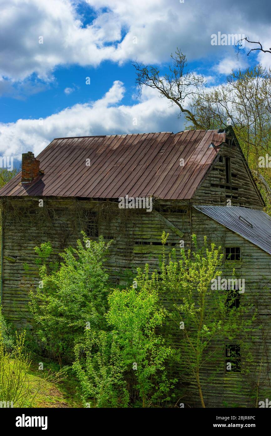Altes Holzgebäude, das im ländlichen Tennessee in die Natur zurückfällt Stockfoto