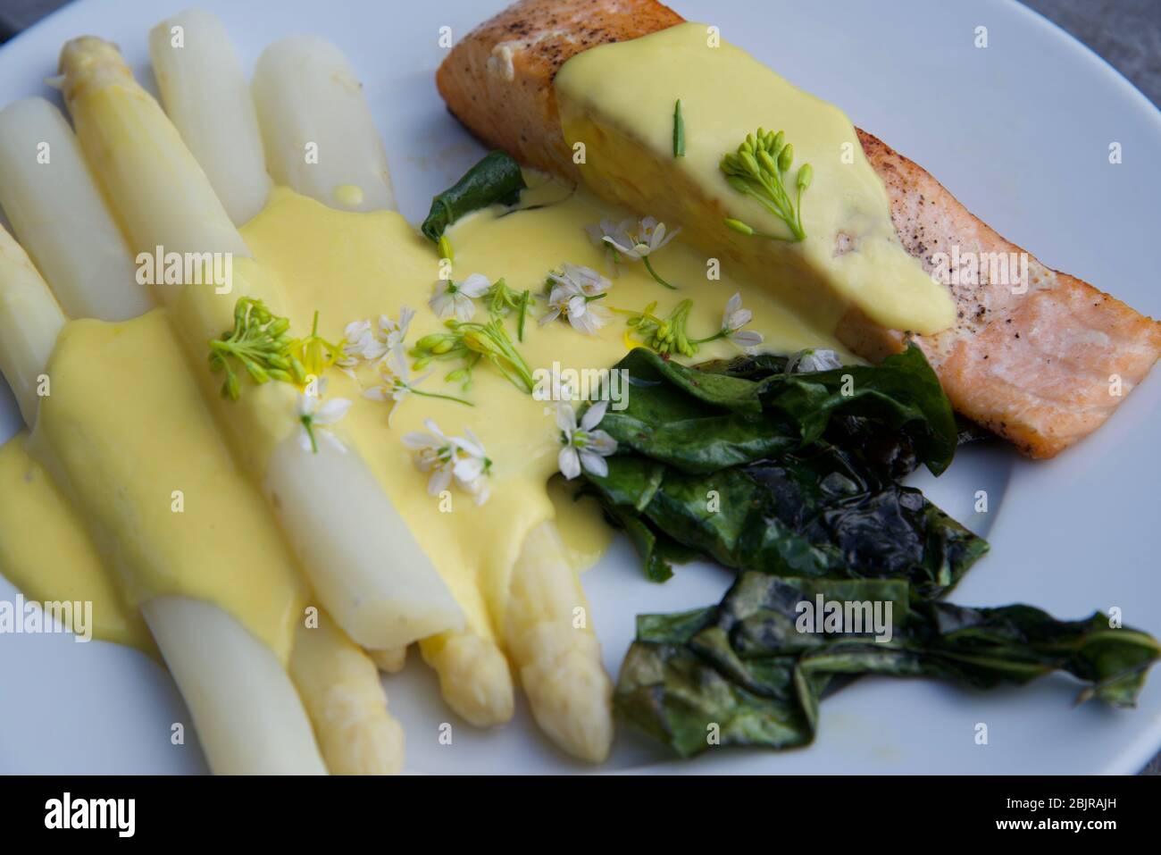 Essen auf einem Teller: Gebratener Lachs, weißer Spargel und Mangold mit Hollandaise-Sauce und mit rosa Knoblauchblüten gekleidet Stockfoto