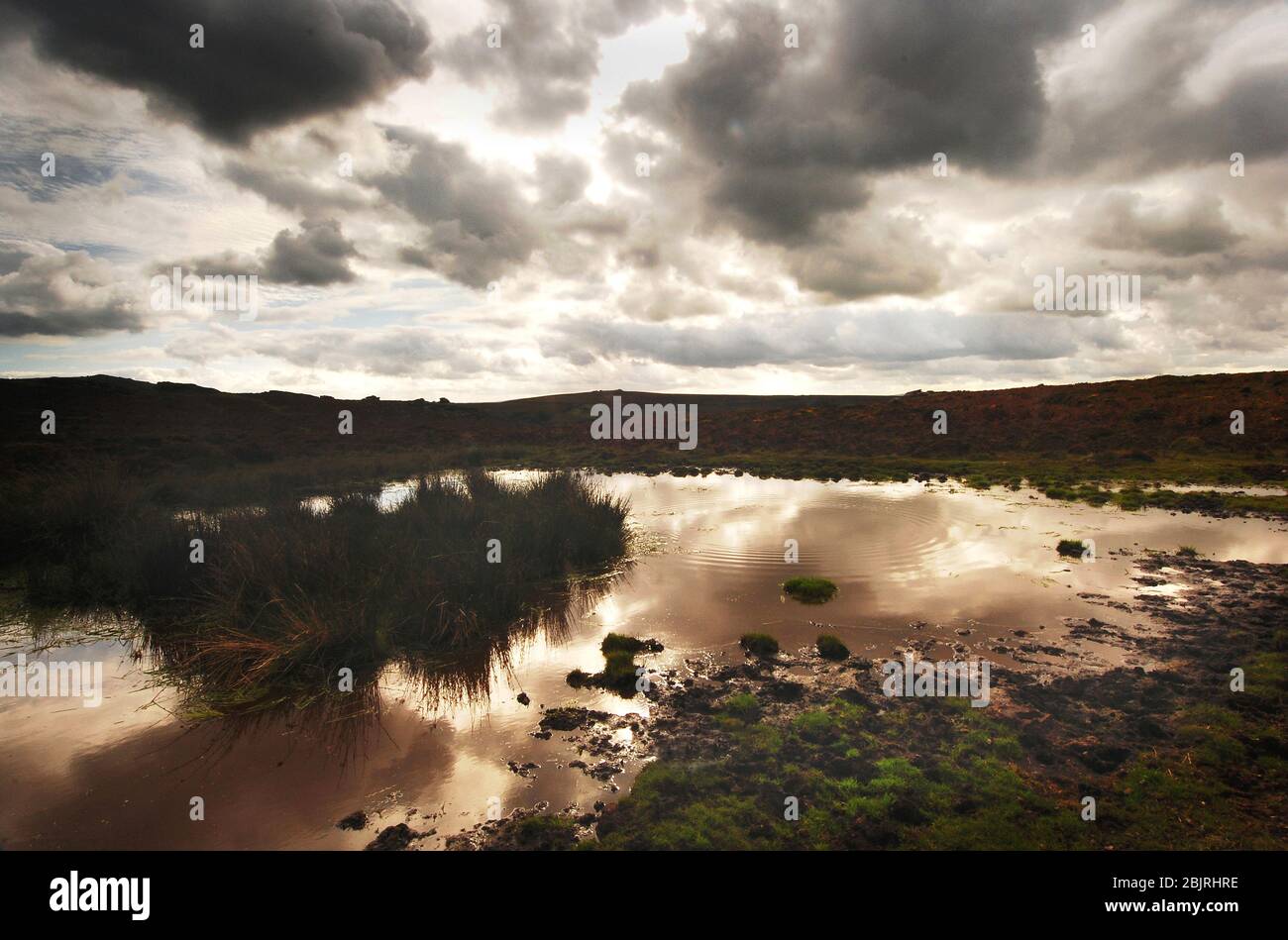 Blick auf Marshes und Muddy Pool im Dartmoor National Park, Devon, Großbritannien Stockfoto