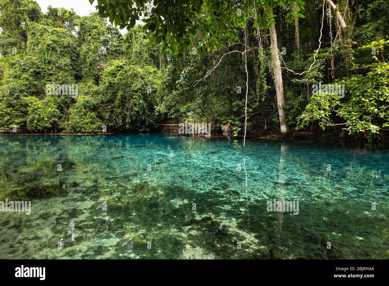 Üppiger Regenwald rund um die blaue Lagune Blue Hole Insel Ozeanien Stockfoto