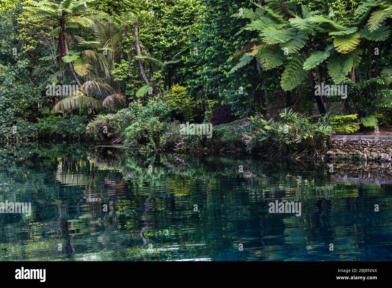 Üppige Wald grüne Laub über Süßwassersee blaue Lagune Espirito Santo Insel Vanuatu Ozeanien Stockfoto