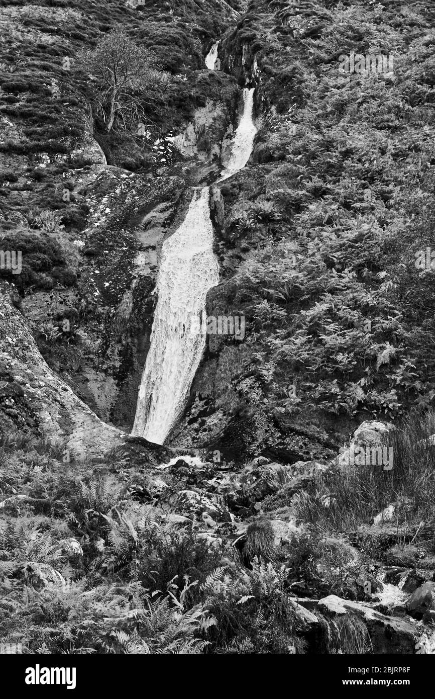 Wasserfälle in über Valley, North Wales, Großbritannien Stockfoto