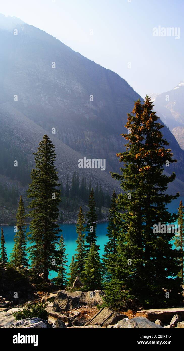 Moraine Lake Alberta Kanada Stockfoto