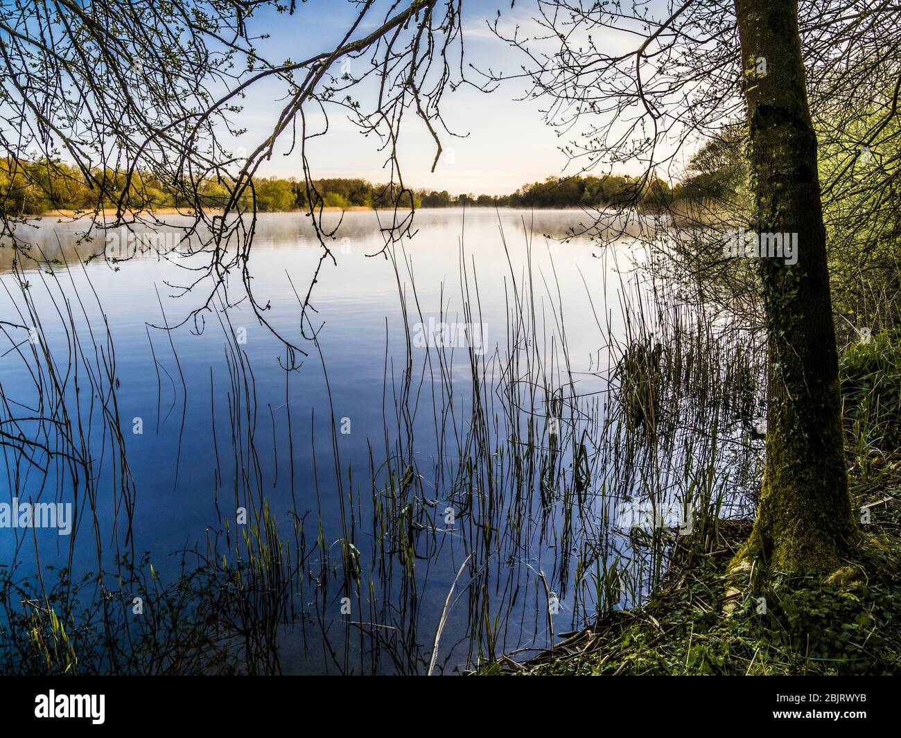 Ein sonniger Frühlingsmorgen im Coate Water in Swindon. Stockfoto