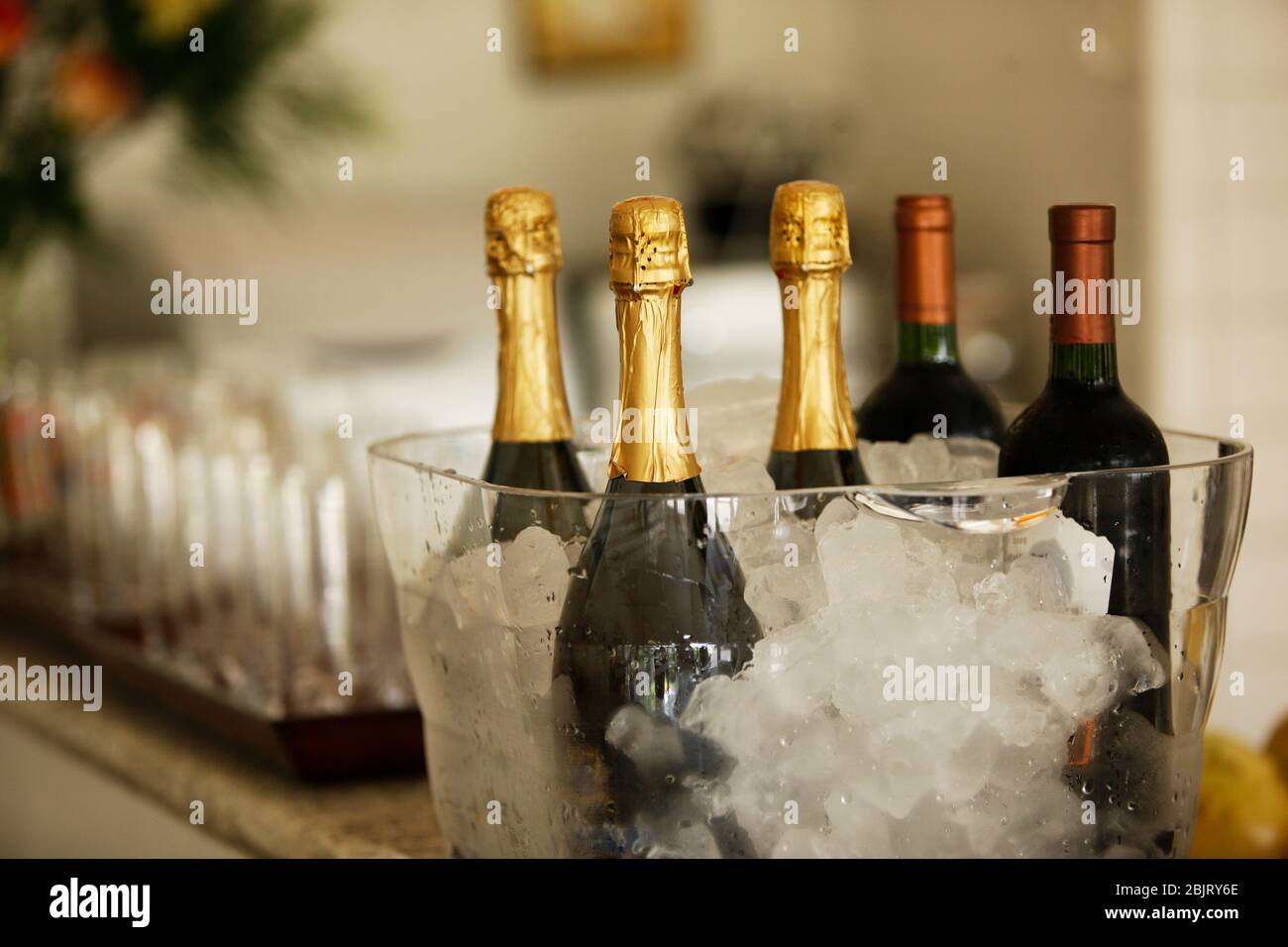 Champagner und Weinflaschen im Eiskübel für wichtige Feierlichkeiten. Stockfoto