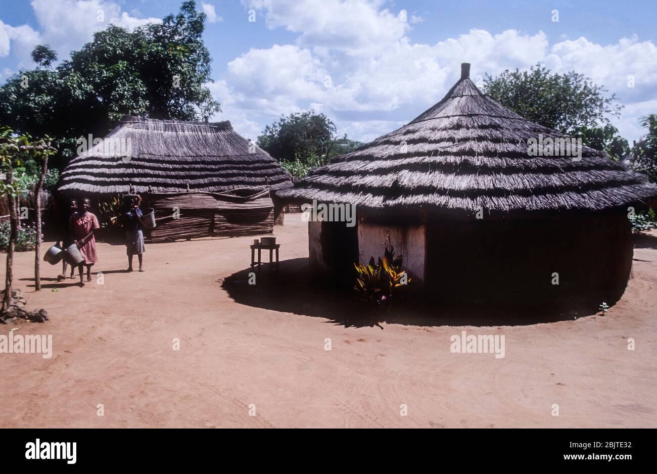Häuser in einem Dorf in der Nähe von Yei, Republik Südsudan Stockfoto
