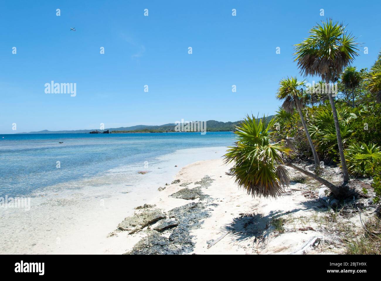 Der leere Mahagoni Bay Strand auf Roatan (Honduras). Stockfoto