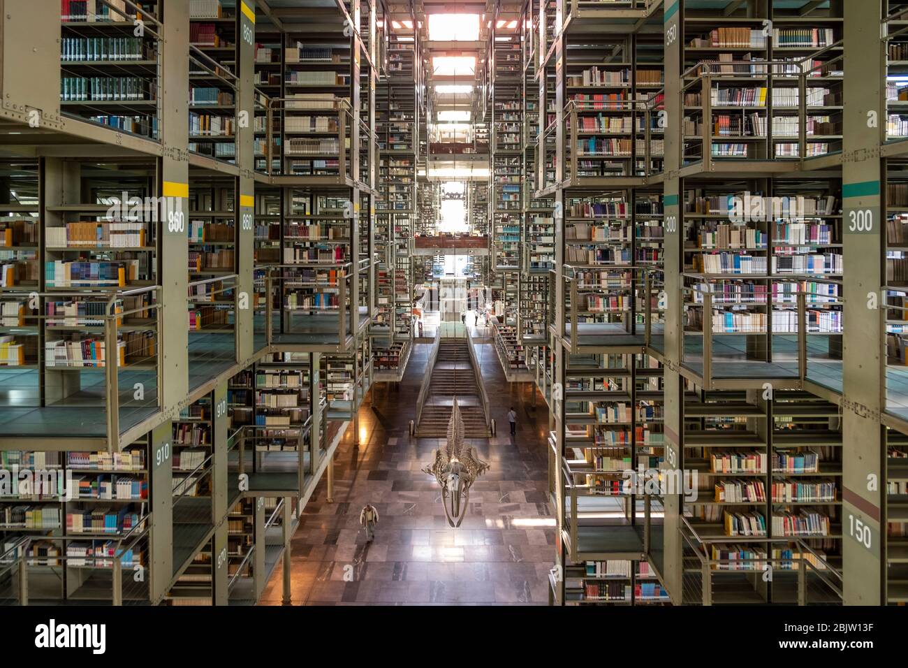 Riesige Bibliothek (38,000 Quadratmeter oder 409,000 Quadratfuß) Biblioteca Vasconcelos Mexiko-Stadt, Mexiko Stockfoto