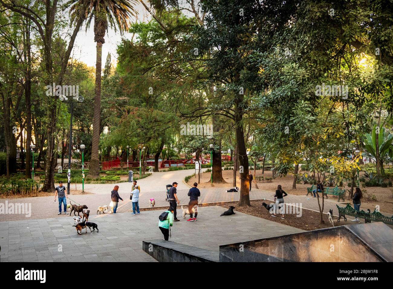 Menschen und Hunde verteilen im Parque España in Condessa, Mexiko-Stadt, Mexiko Stockfoto