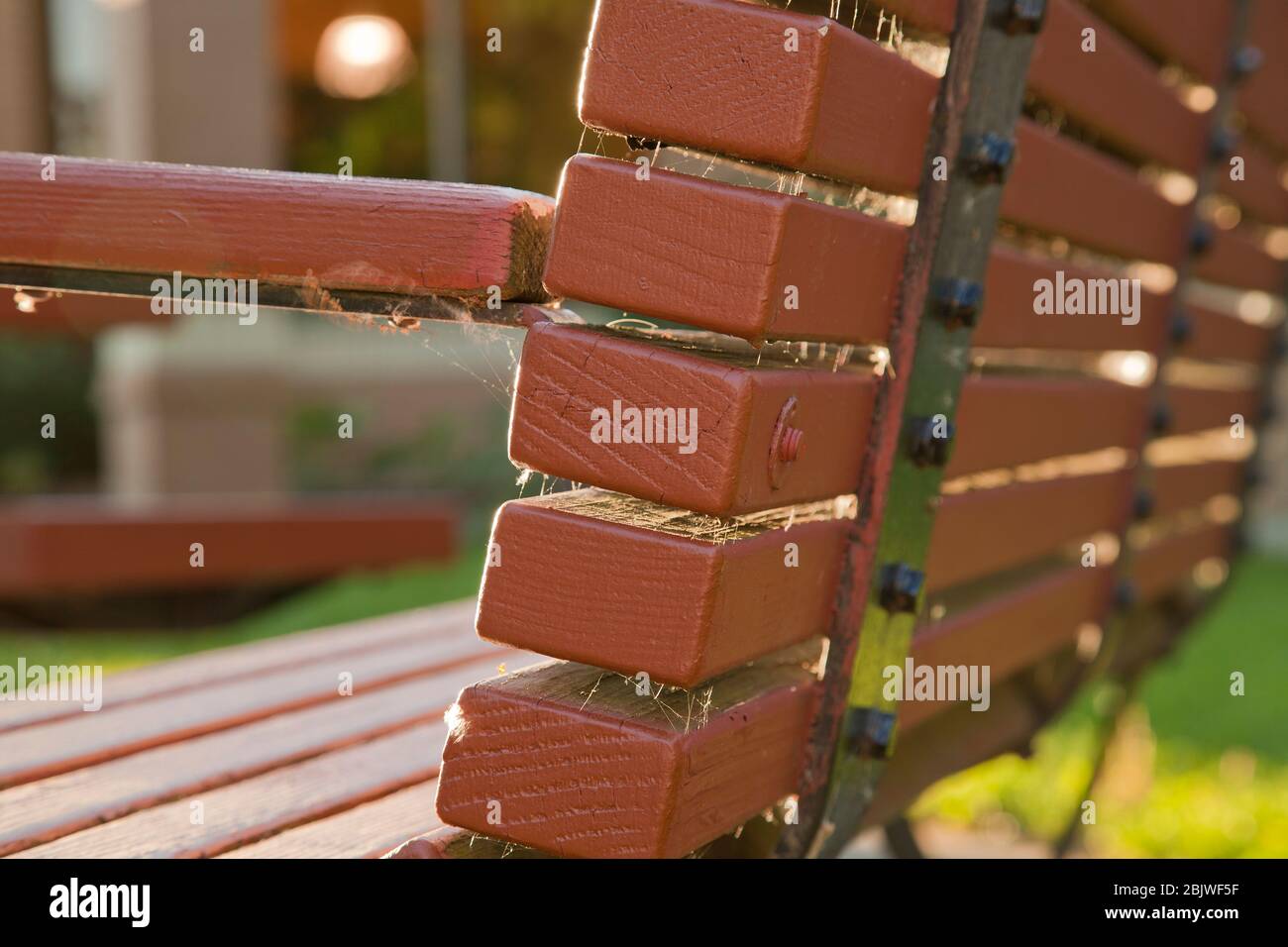 Braune hölzerne Parkbank mit Spinnweben in einer flachen Schärfentiefe. Braune Parkbank aus einer Winkelperspektive vor einem unscharfen Hintergrund. Stockfoto