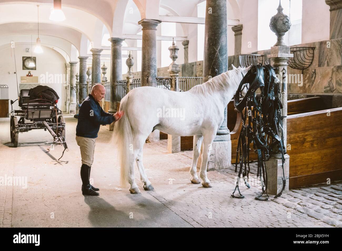 20. Februar 2019. Königlicher Stall in Dänemark Kopenhagen auf dem Territorium Christiansborg Slot. Mann, der einen prächtigen Pferdeschwanz kämmt. Mann, der im Gestüt arbeitet Stockfoto