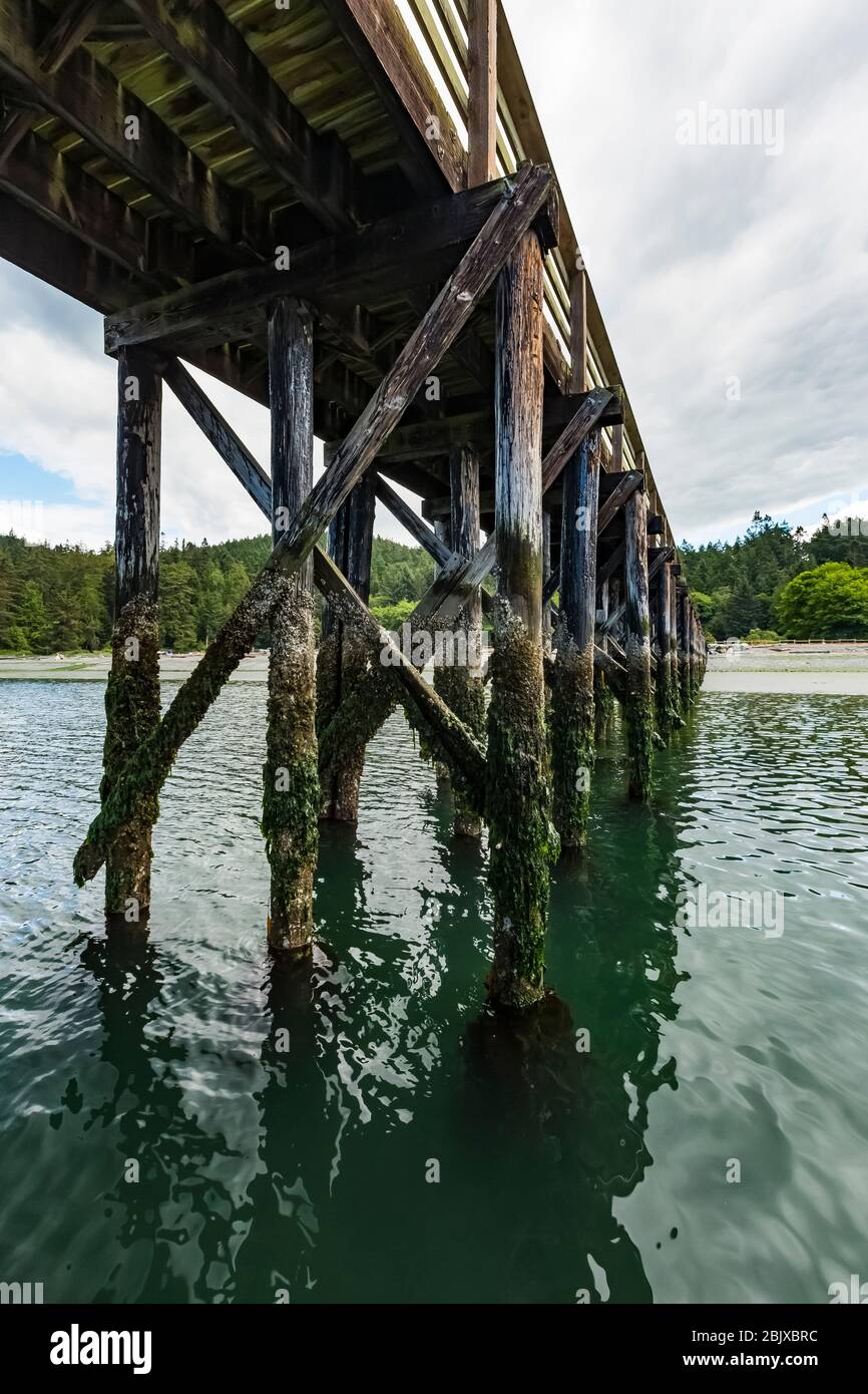 Dock auf Bowman Bay in Deception Pass State Park, Fidalgo Island, Washington State, USA Stockfoto