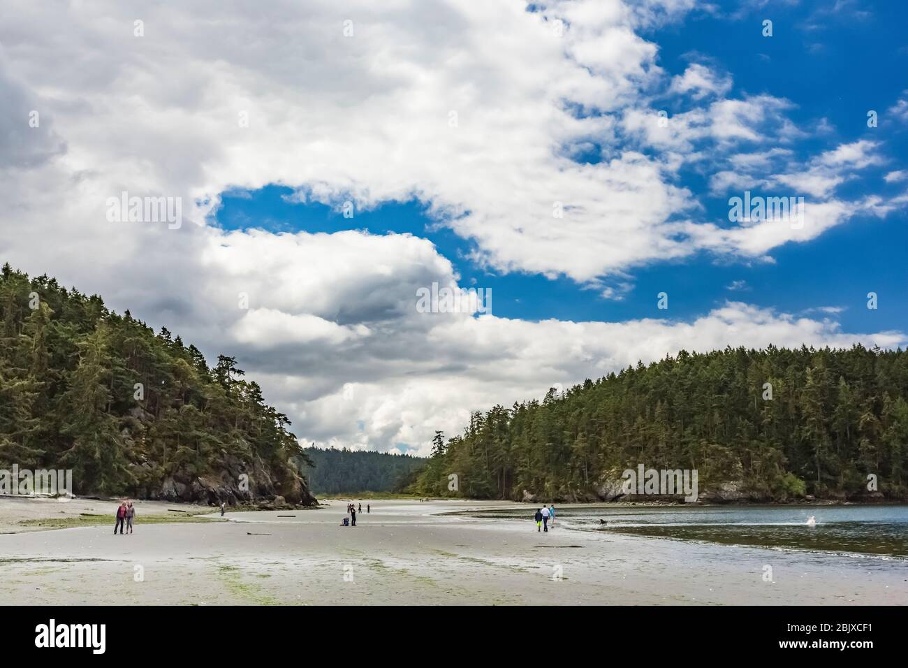 Besucher, die den Strand von Bowman Bay bei Ebbe im Deception Pass State Park, Fidalgo Island, Washington State, USA erkunden [Keine Modellversionen; verfügbar Stockfoto