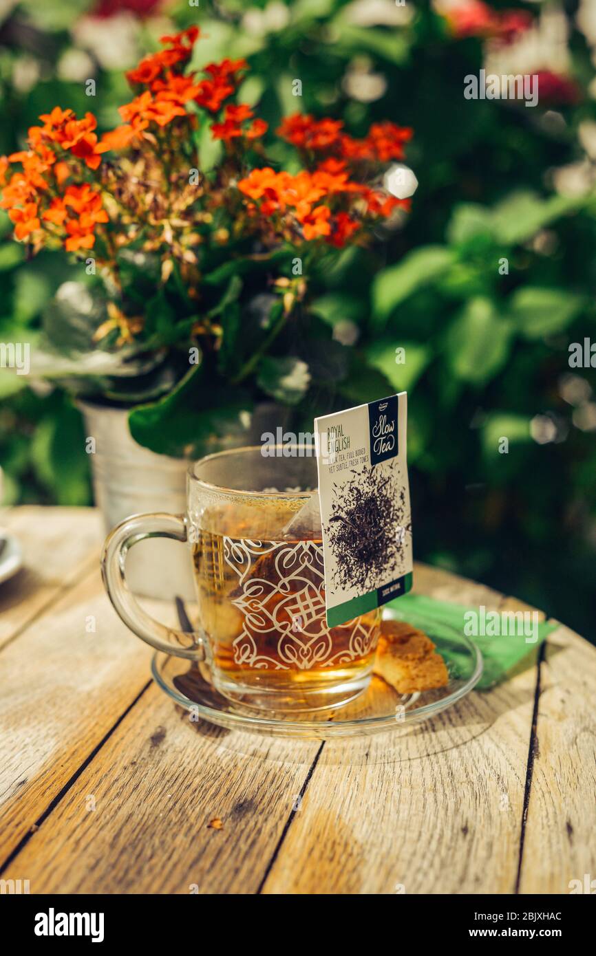 Glas Tasse Tee mit Teebeutel, Honig, Teelöffel, Keks-Cookie, blühende Blume Hintergrund. Auf einem runden Holztisch. Garten im Freien. Hinterlässt den Hintergrund. Stockfoto