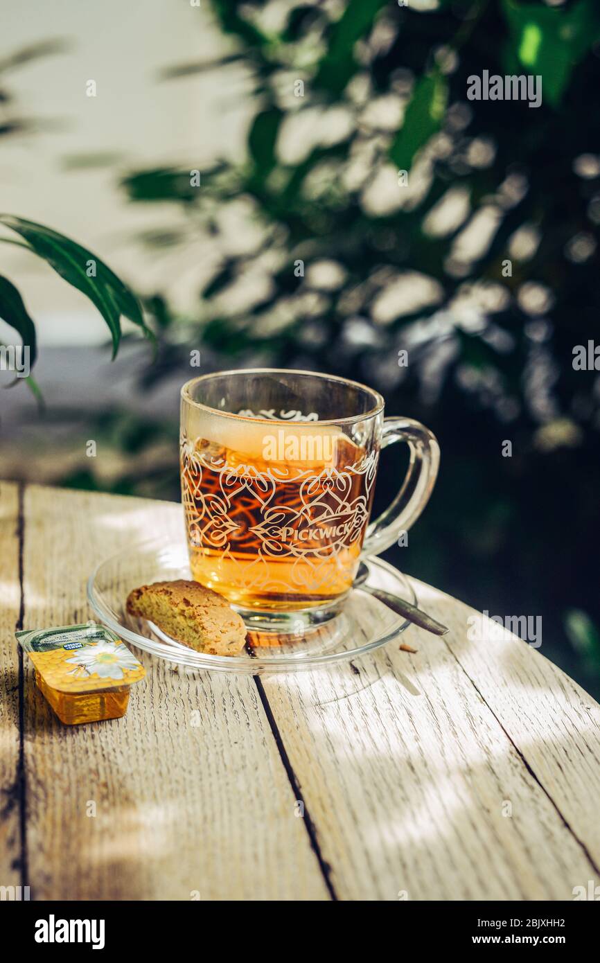 Eine Tasse heißen Tee. Honig, Keks, Teelöffel. Auf einem runden Holztisch im Garten mit Blumen aufgestellt. Belaubter Hintergrund. Stockfoto