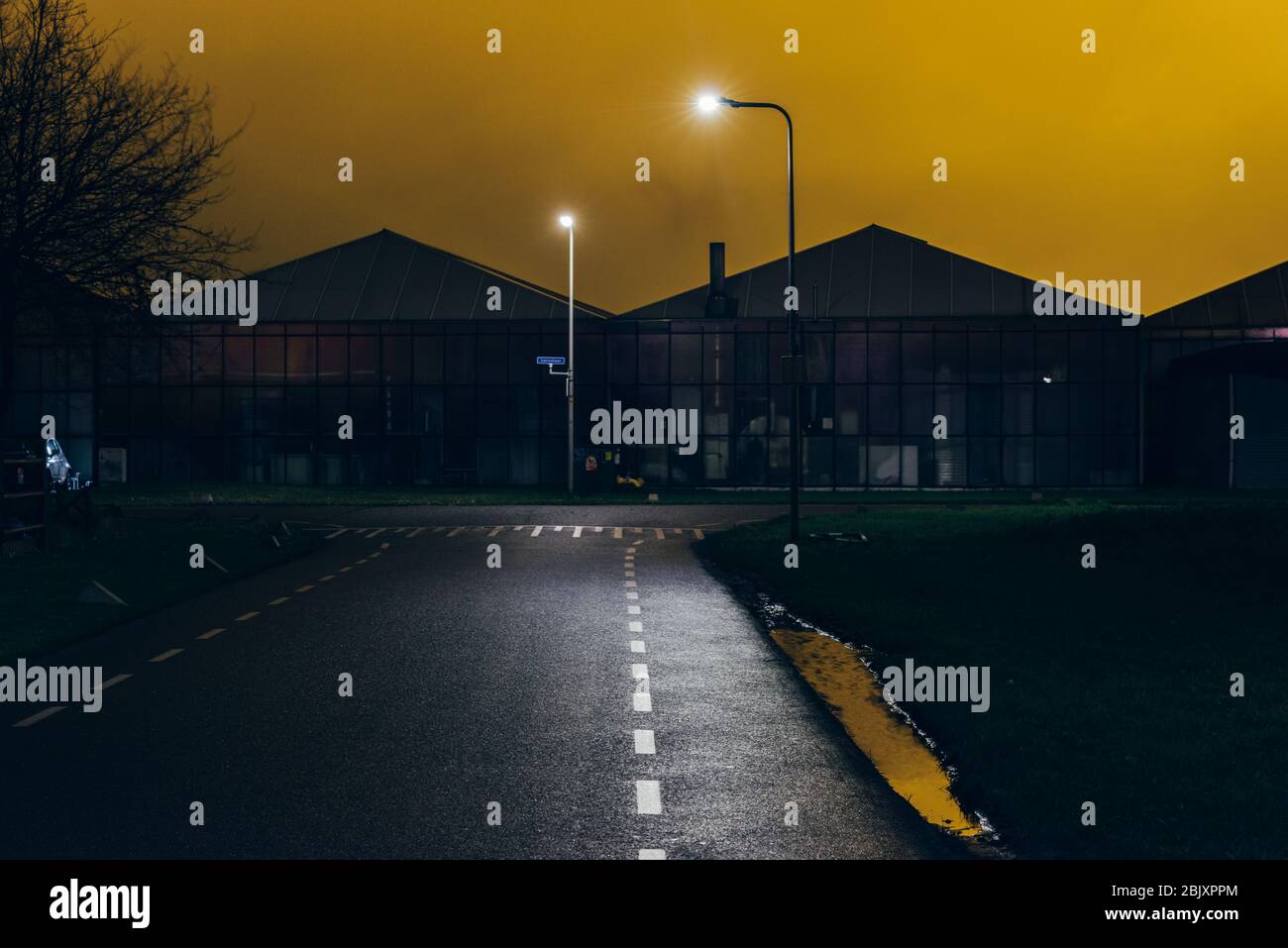 In Westland, Niederlande, Europa, leuchten nachts helle Lichter aus dem Gewächshaus. Beleuchtetes Industriegewächshaus mit gelben Leuchten. Stockfoto