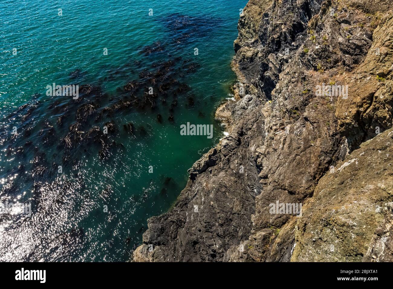 Blick vom Rosario Head im Deception Pass State Park, Fidalgo Island, Washington State, USA Stockfoto