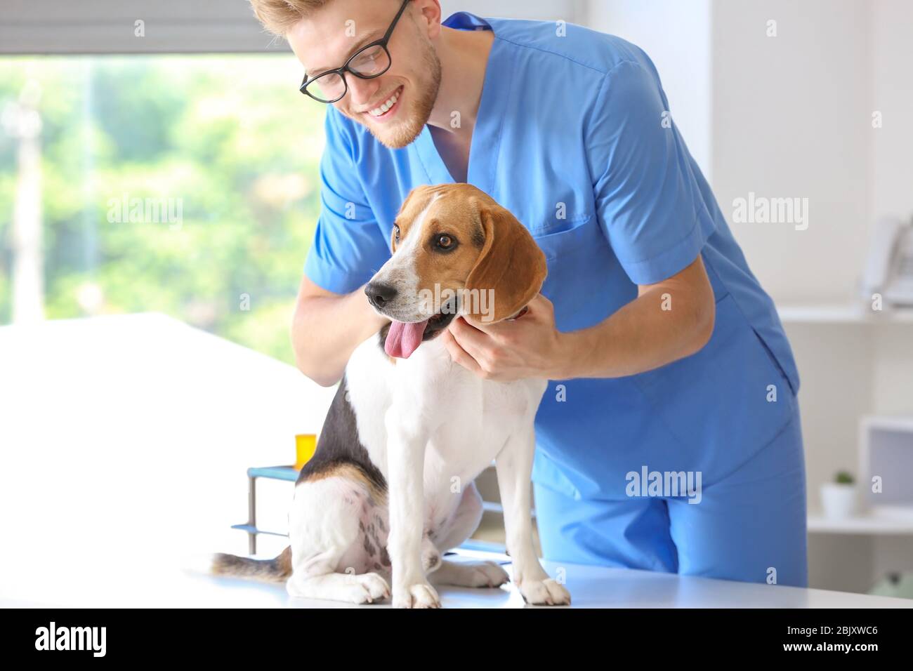 Tierarzt Prüfung niedlichen Hund in der Klinik Stockfoto