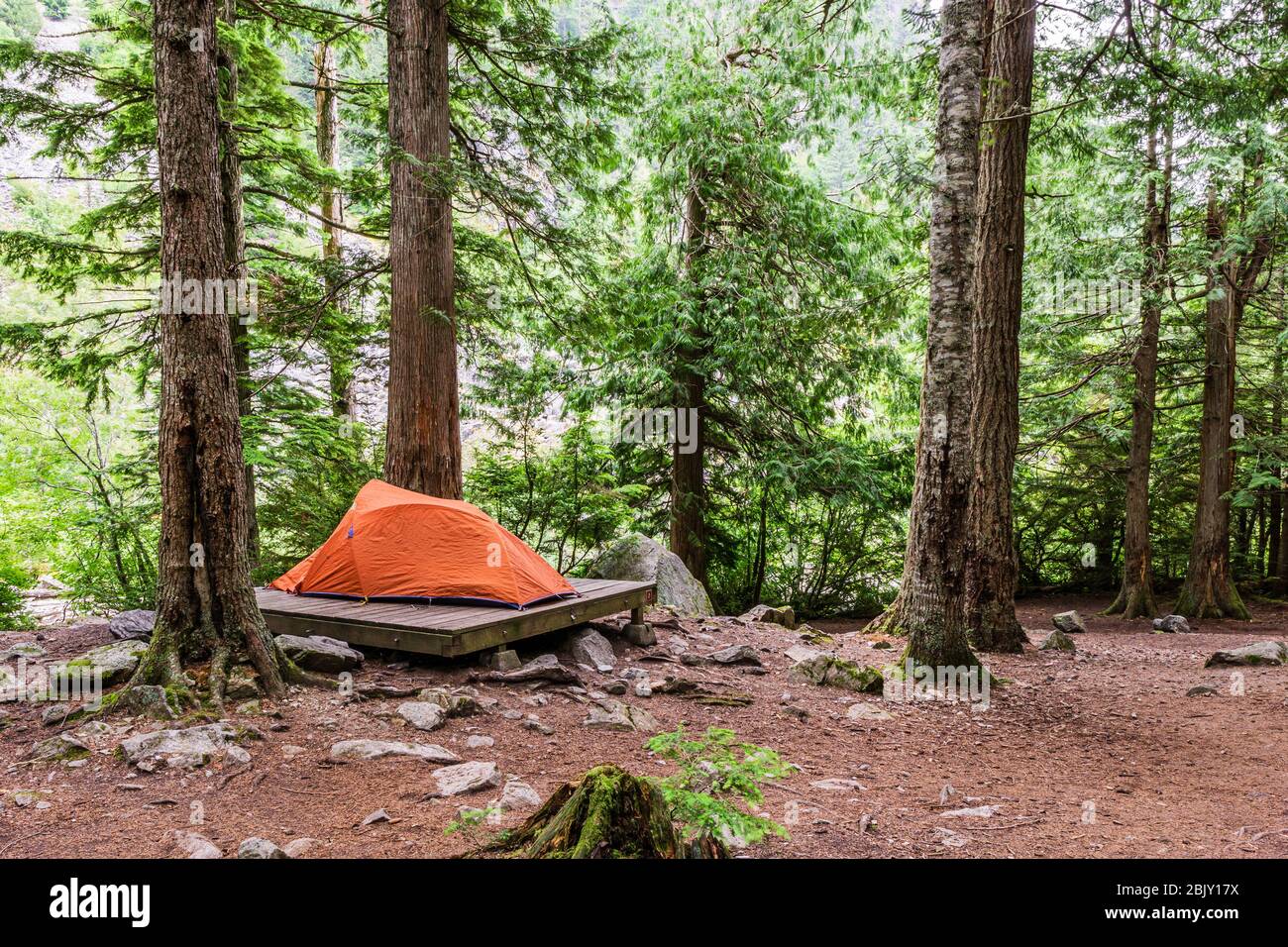 Campingplatz mit Zelt in der Nähe von Wanderweg, der entlang eines Waldes in den Bergen von british columbia kanada läuft. Stockfoto
