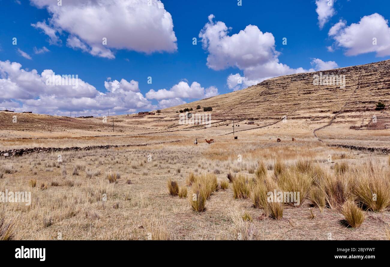 Peru, Sillustrani, landschaftlich reizvoller Blick auf die trockene Landschaft Stockfoto