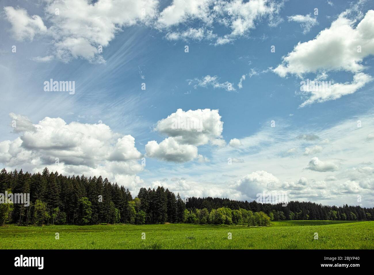 Foto einer Wiese mit geschwollenen Wolken am Himmel. Im Zentrum befindet sich ein kleines Flugzeug. Betonung auf Himmel/Wolken. Stockfoto