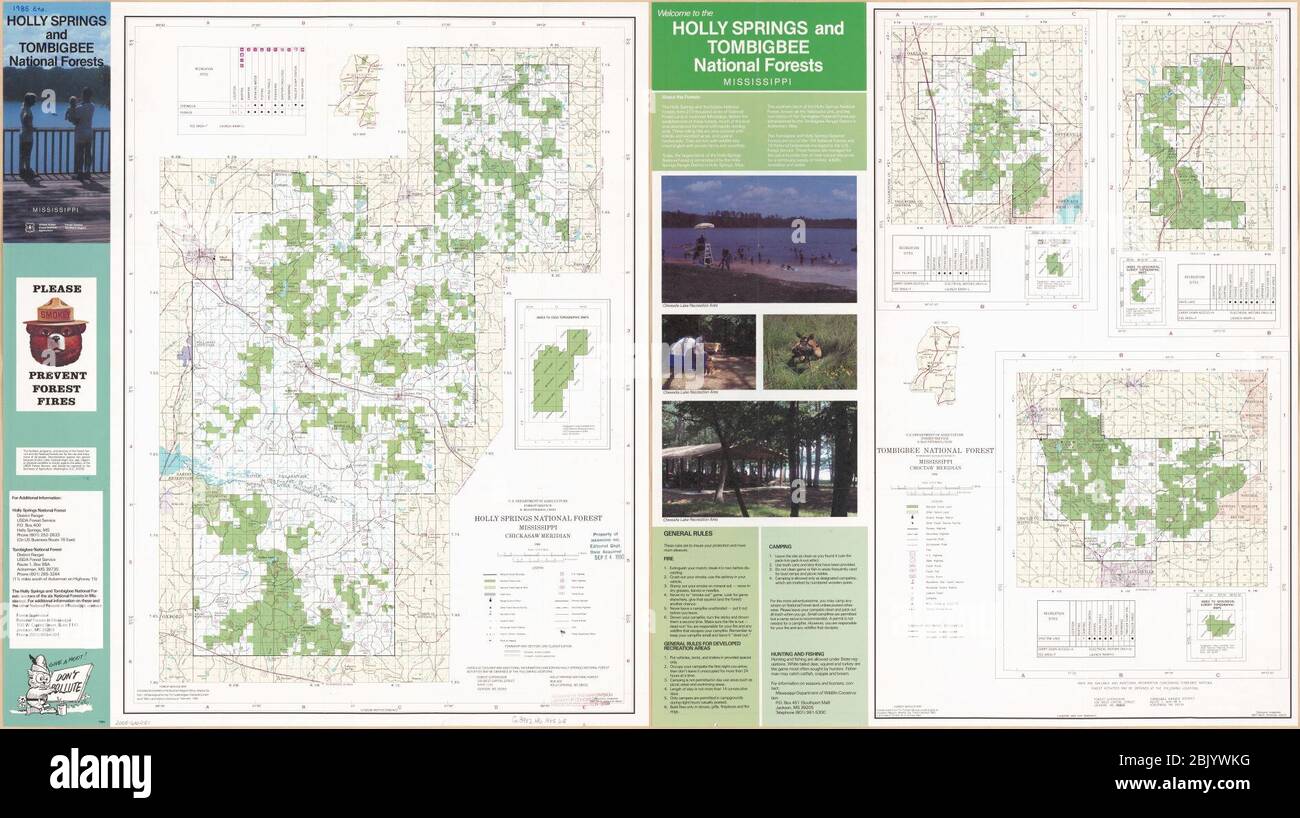 Holly Springs und Tombigbee National Forests, Mississippi Stockfoto