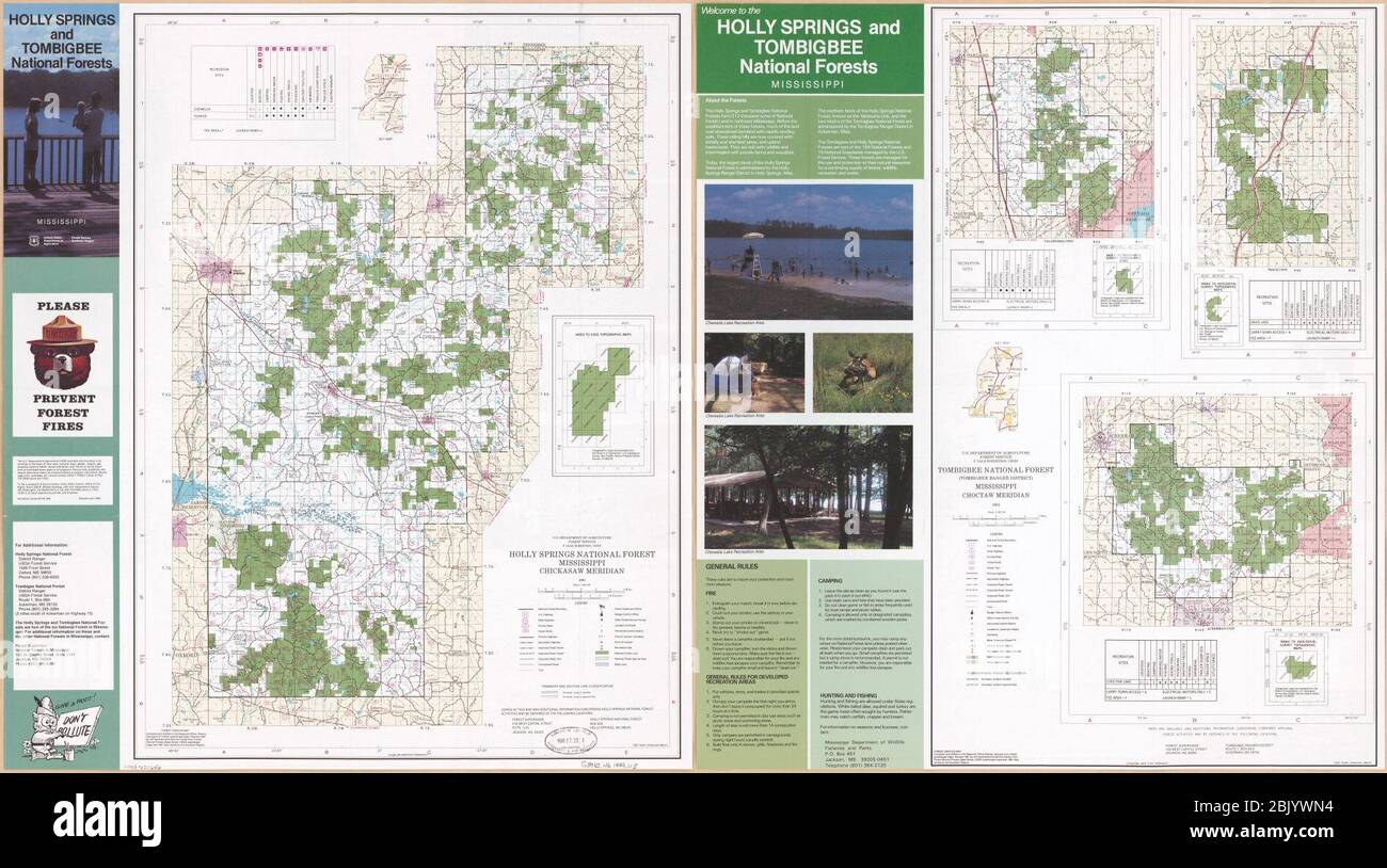 Holly Springs und Tombigbee National Forests, Mississippi Stockfoto