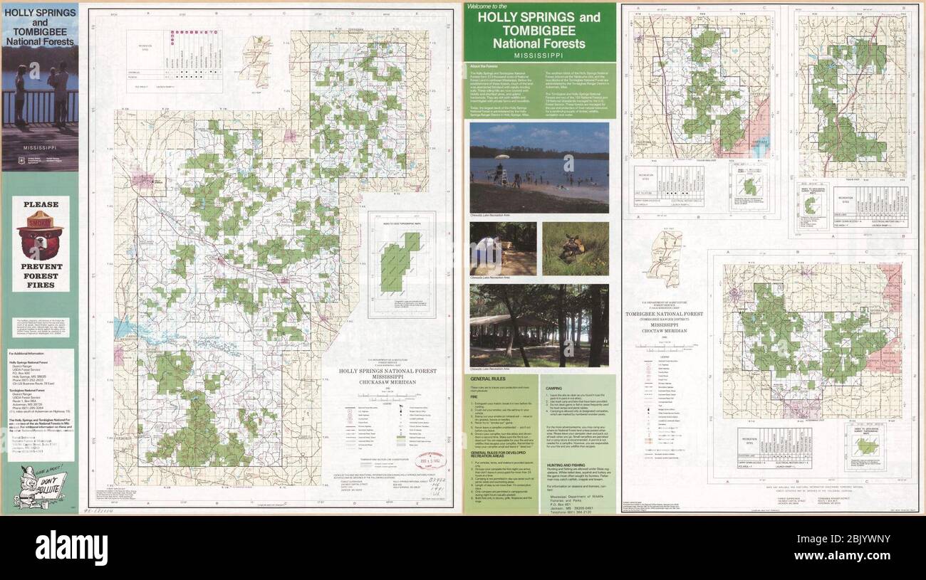 Holly Springs und Tombigbee National Forests, Mississippi Stockfoto