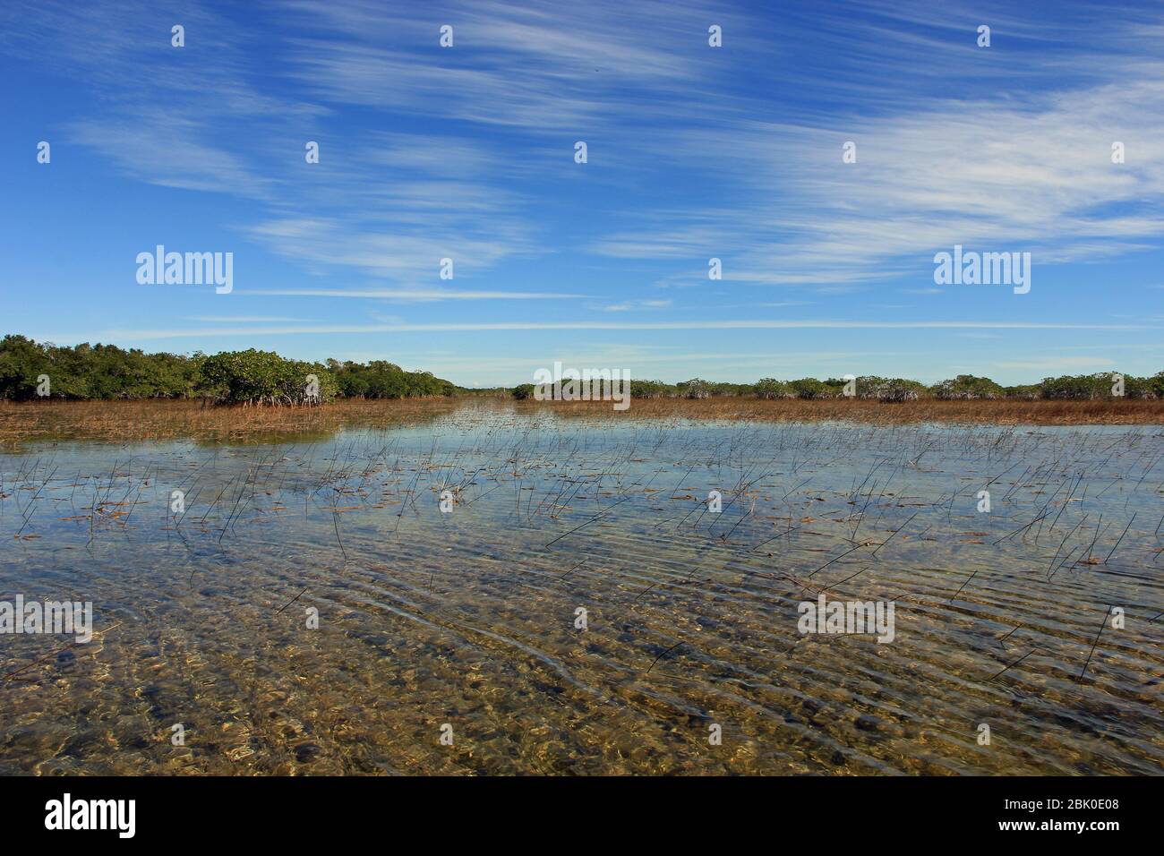 Federleichte Wolkenlandschaft über dem Nine Mile Pond im Everglades National Park, Florida am sonnigen Winternachmittag. Stockfoto