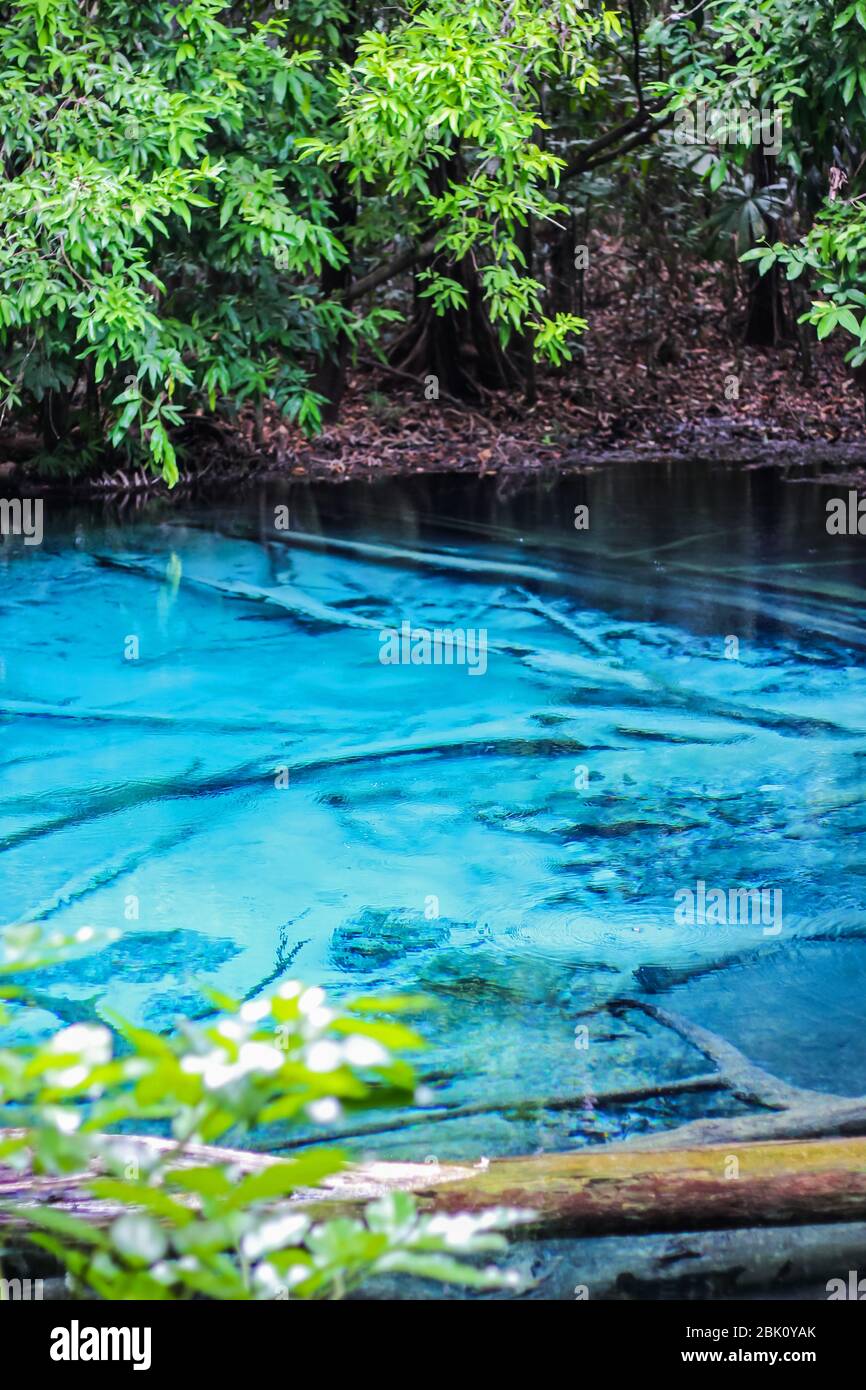 Blue Pool Provinz Krabi eine der erstaunlichen im Süden von Thailand. Wählen Sie konzentrieren. Stockfoto