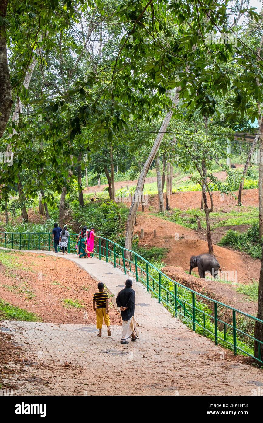 Touristen, die in den Eingang des kottoor kappukadu Elefant Rehabilitationszentrum, kottoor, Thiruvananthapuram, Kerala, Indien, PRADEEP SUBRAMANIAN Stockfoto