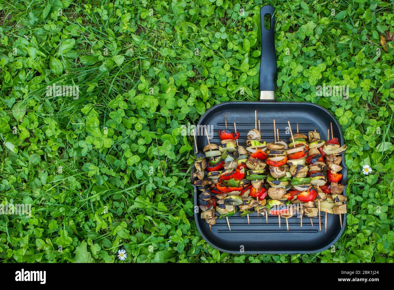 Gegrillte Gemüsespieße auf einer Metallpfanne auf dem Gras. Stockfoto